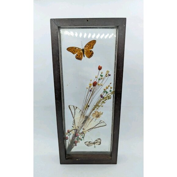 Vintage Shadow Box Butterflies Flowers display glass 12.4" x 5.4" boho READ - Picture 16 of 16